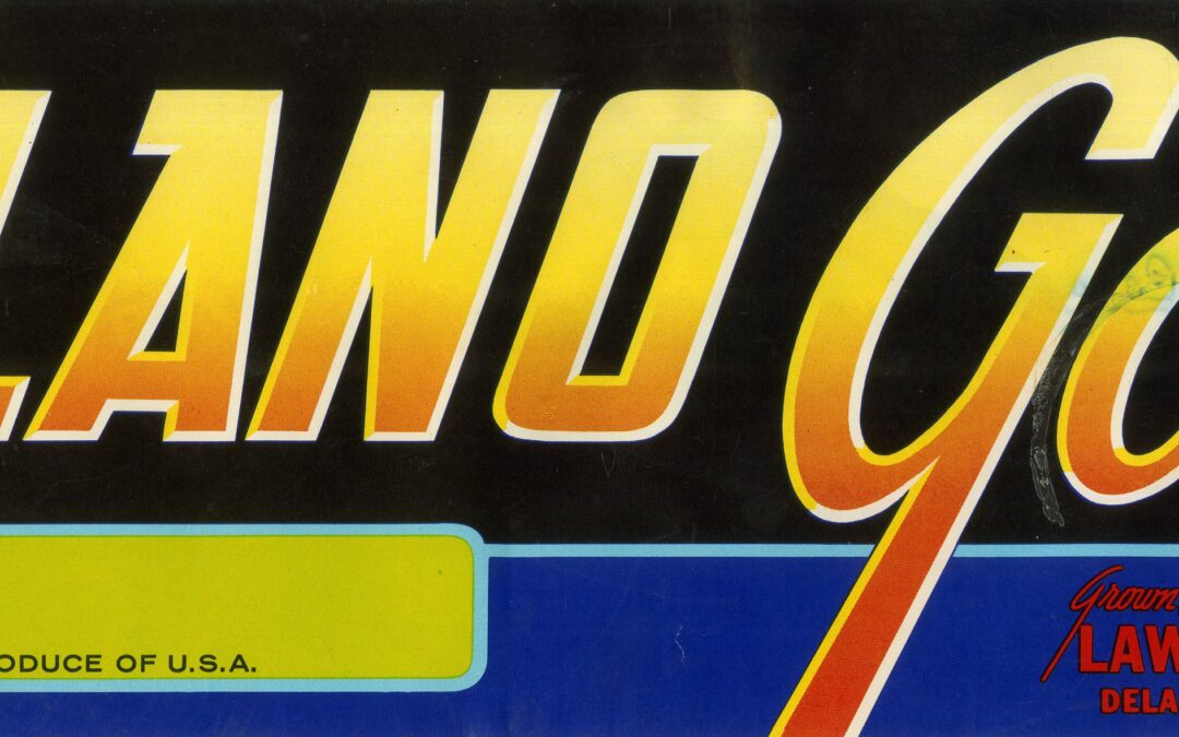 Delano Gold-2