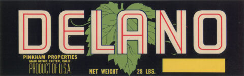 Delano