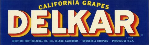 Delkar