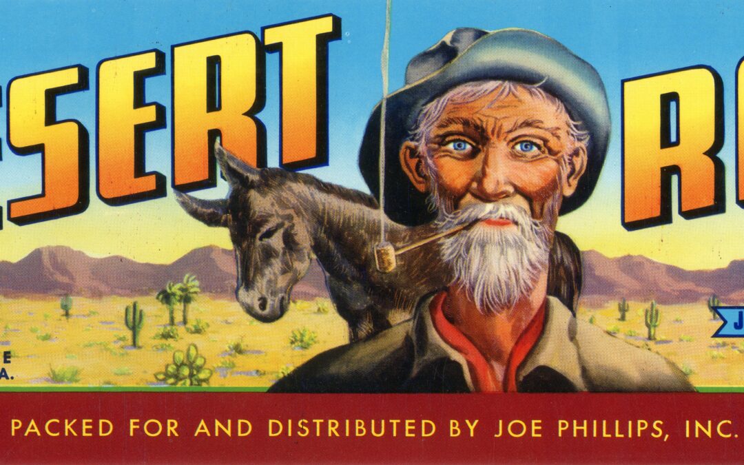 Desert Rat-1