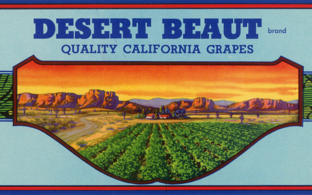 Desert Beaut
