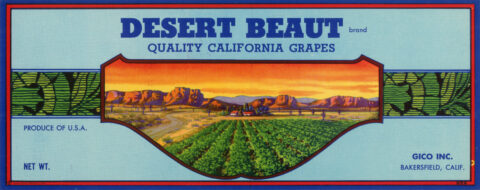 Desert Beaut