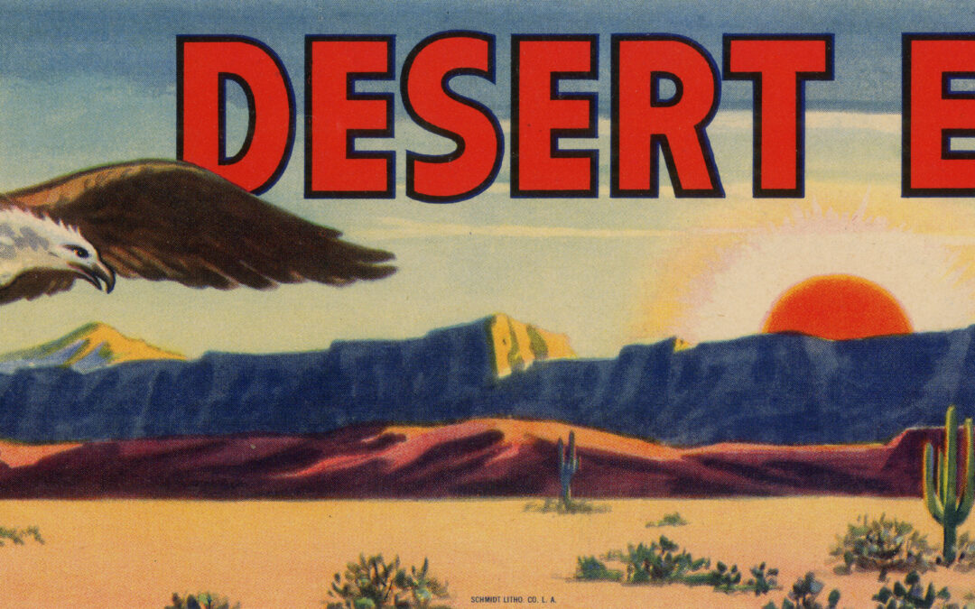Desert Eagle-1