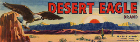 Desert Eagle-1