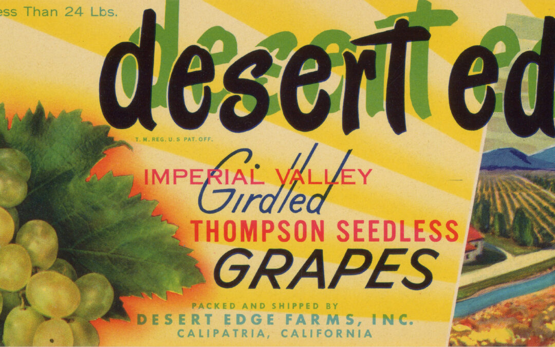 Desert Edge