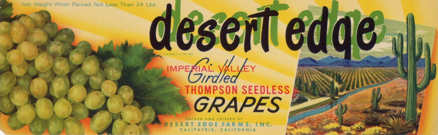 Desert Edge