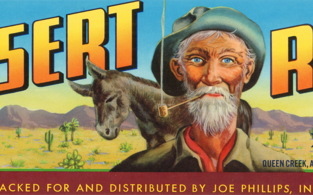 Desert Rat-2