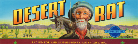 Desert Rat-2