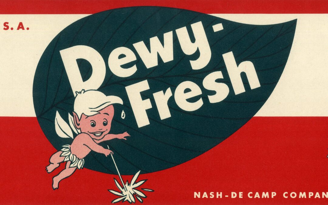 Dewy-Fresh