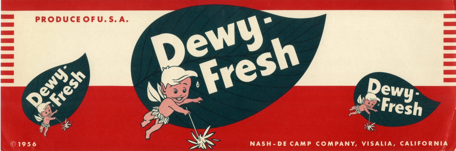 Dewy Fresh Dewy Fresh