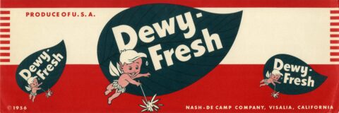 Dewy Fresh