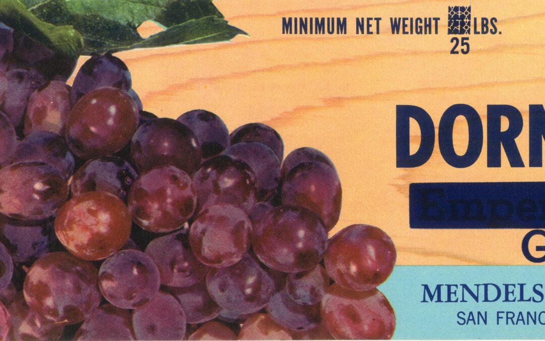 Dorn-Good
