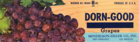 Dorn Good