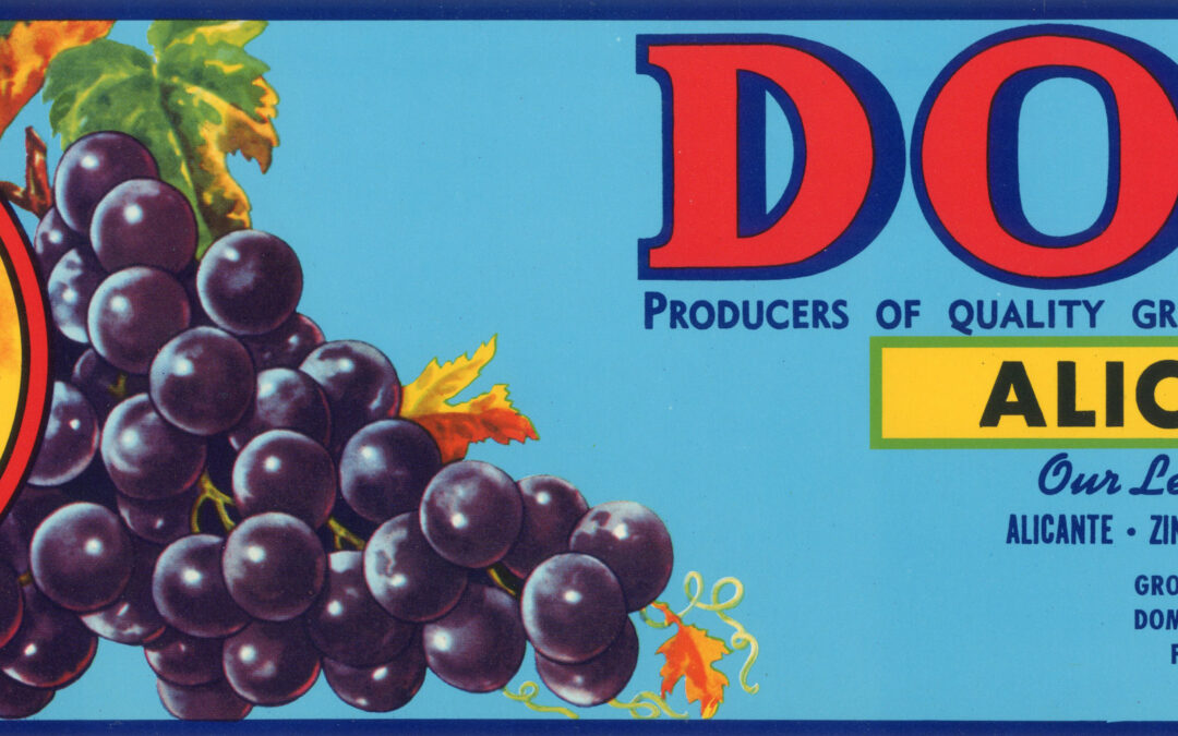 Dot
