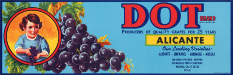 Dot