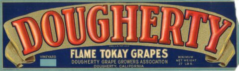 Dougherty