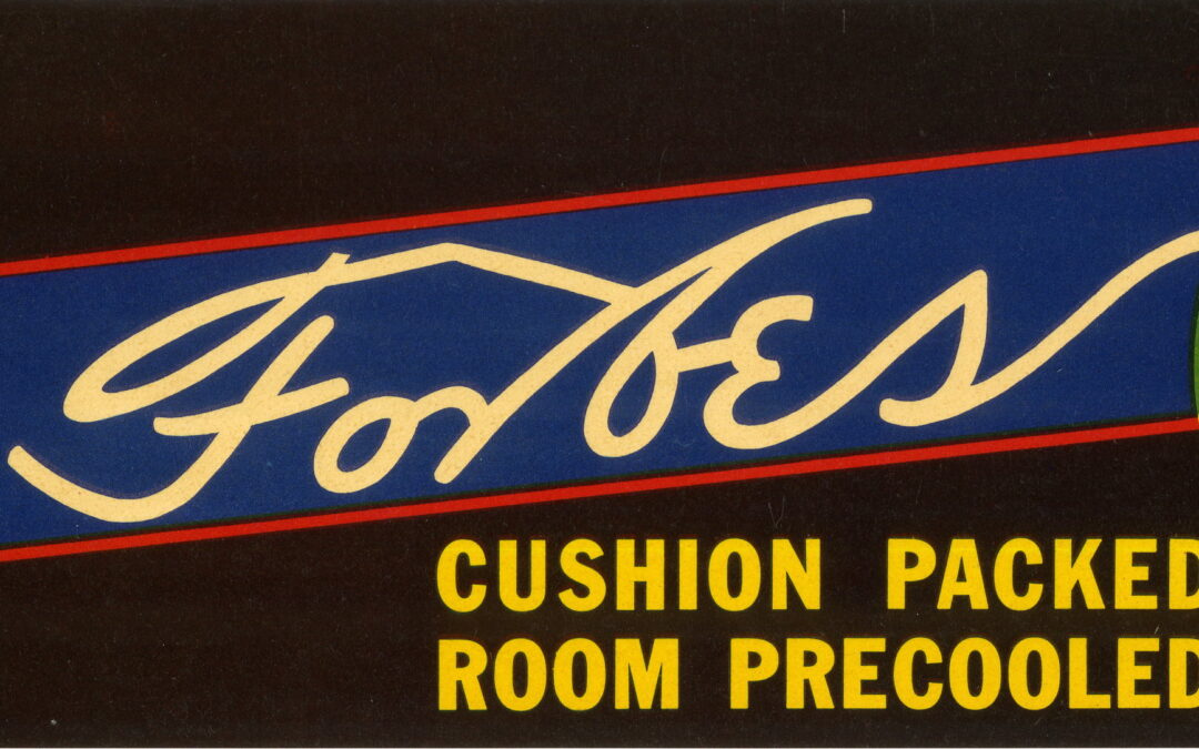 Dr. Forbes