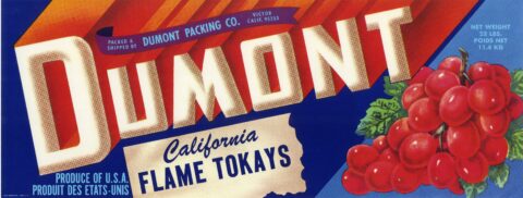 Dumont