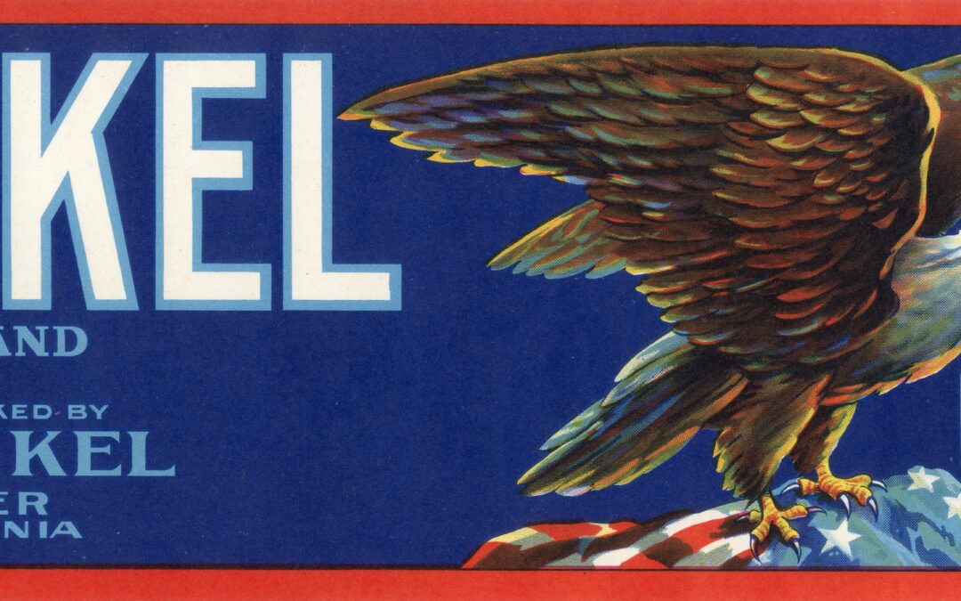 Dunkel