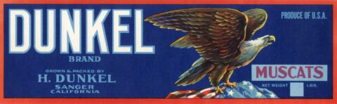 Dunkel
