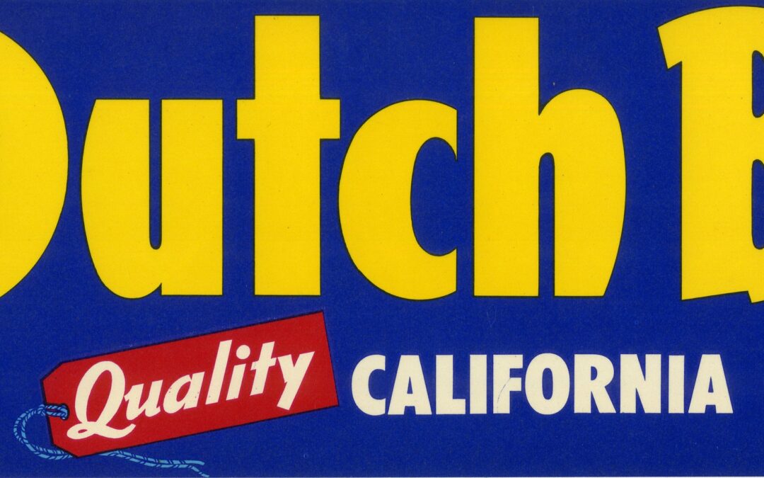 Dutch Boy-1