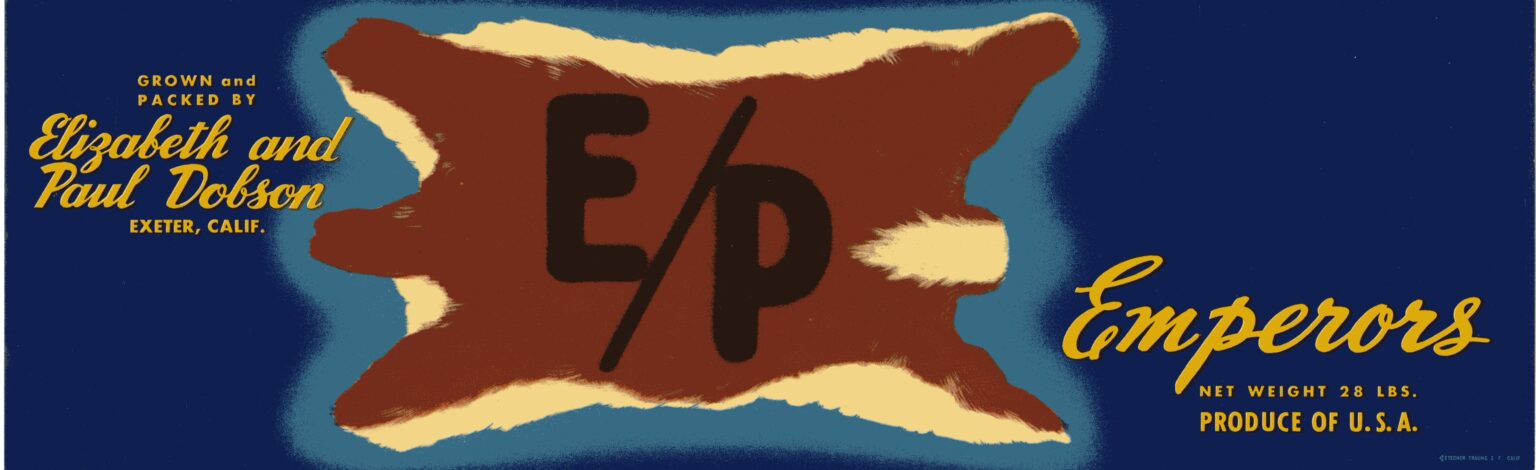 E P