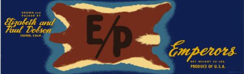E P
