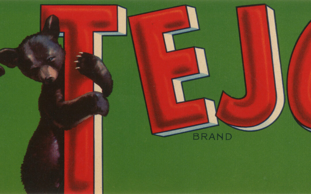 El Tejon