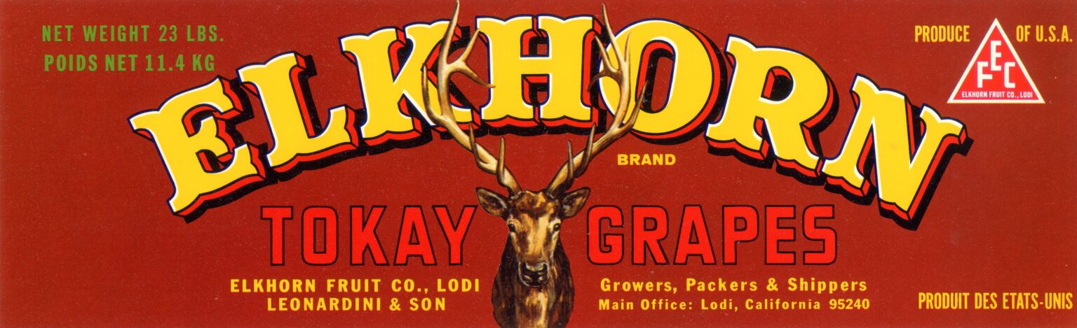 Elkhorn