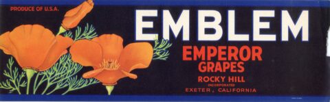 Emblem