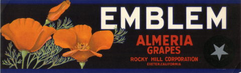 Emblem