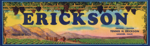 Erickson