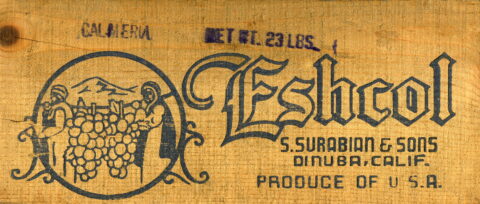 Eshcol