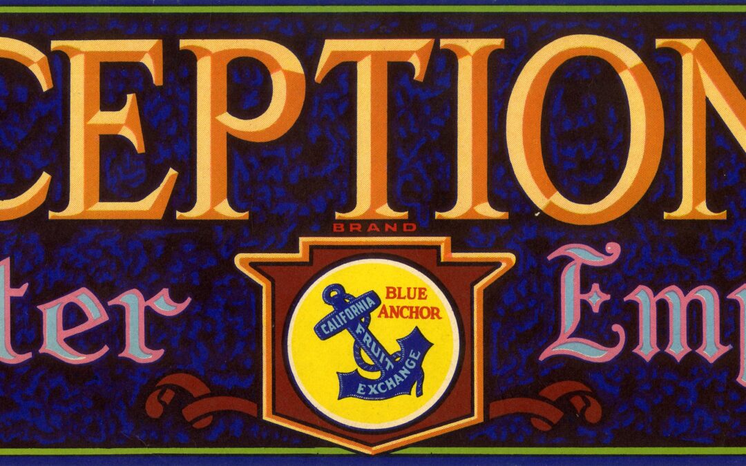 Exceptional-3