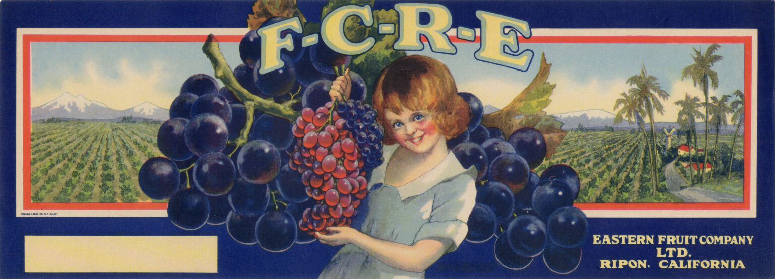 F C R E