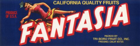 Fantasia