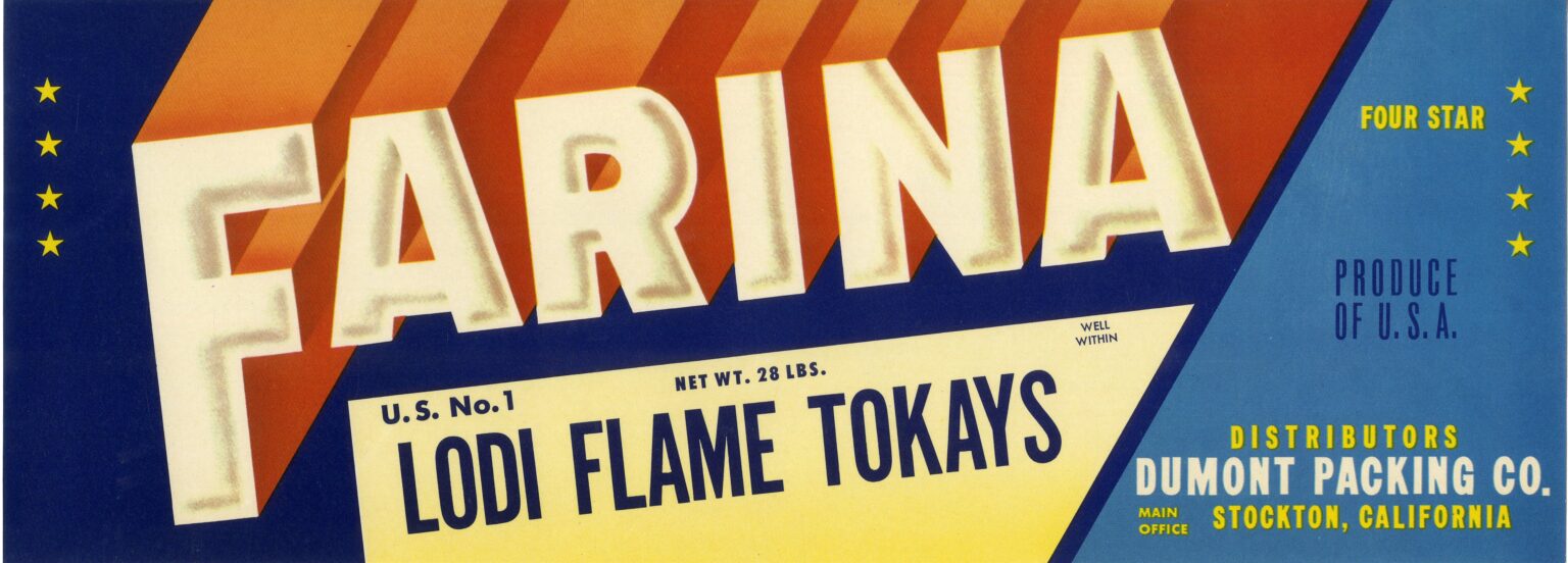 Farina