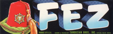 Fez