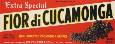 Fior di Cucamonga-2