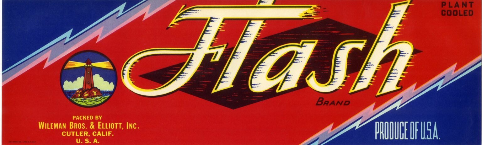Flash