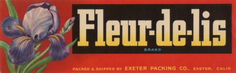 Fleur de lis