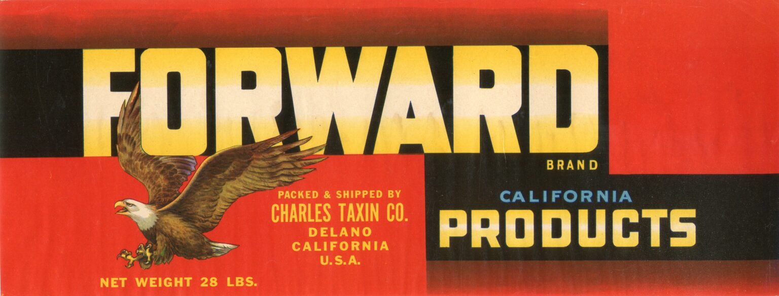 Forward
