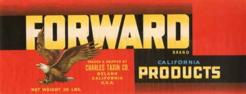 Forward