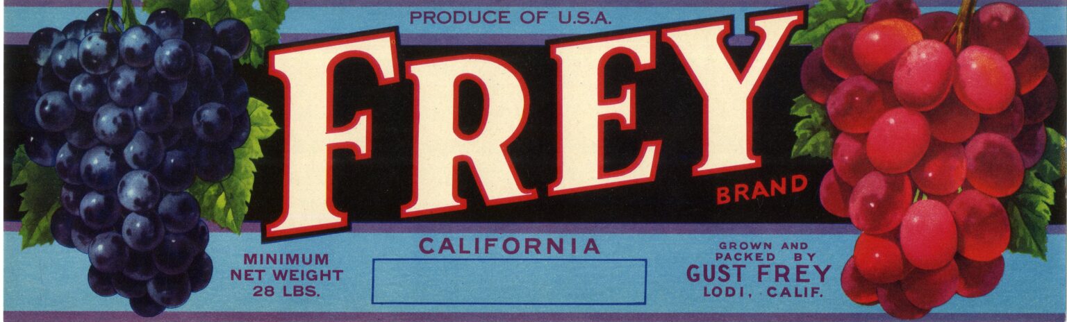Frey