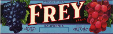 Frey