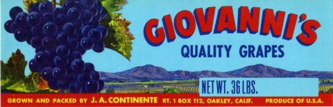 Giovannis s
