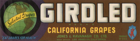 Girdled