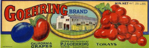 Goehring