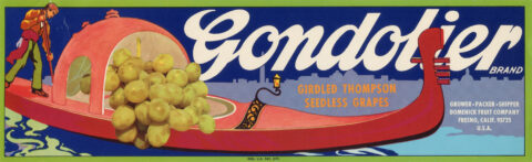 Gondolier