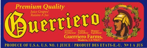 Guerriero